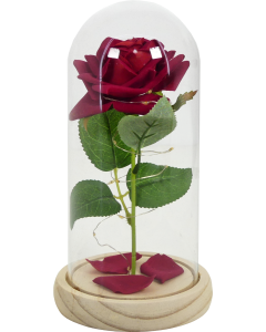 Light up Rose in Dome