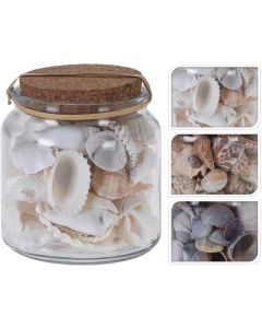 Deco Shells in Glass Pot 