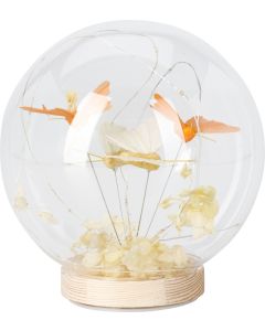 Glass LED Dome with Butterflies