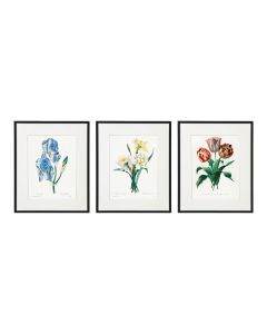Wall Art - Flowers - Set of 3